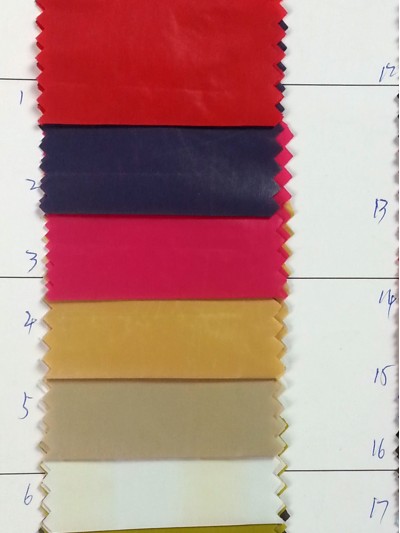 ZS-HIXG 20D尼龍 後面照